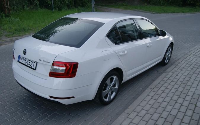 Skoda Octavia cena 41999 przebieg: 249000, rok produkcji 2019 z Gdynia małe 154